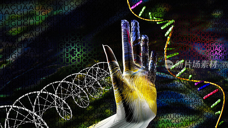 DNA, RNA，人类基因组代码，以及鉴定人手的二进制代码。